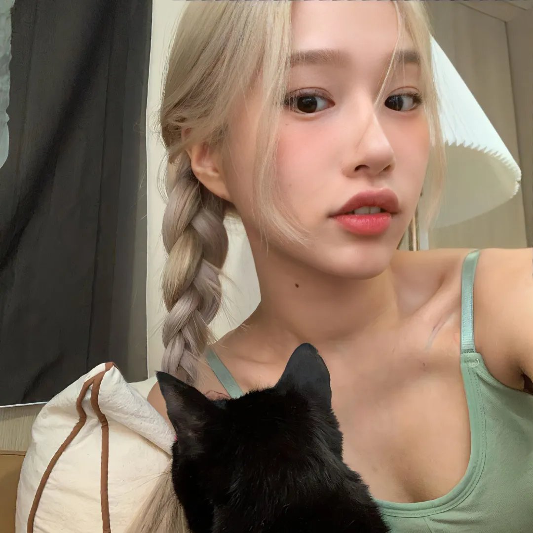 法与情
